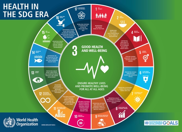 SDG Banner - Health in the Global Era